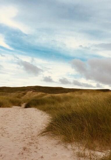 Sandy path through tall beach grasses leading over rolling dunes under a wide blue sky with soft clouds.