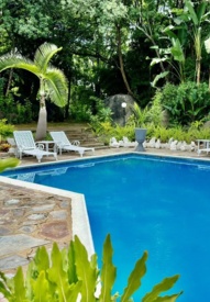 Outdoor swimming pool surrounded by tropical greenery and palm trees with white lounge chairs on stone patio