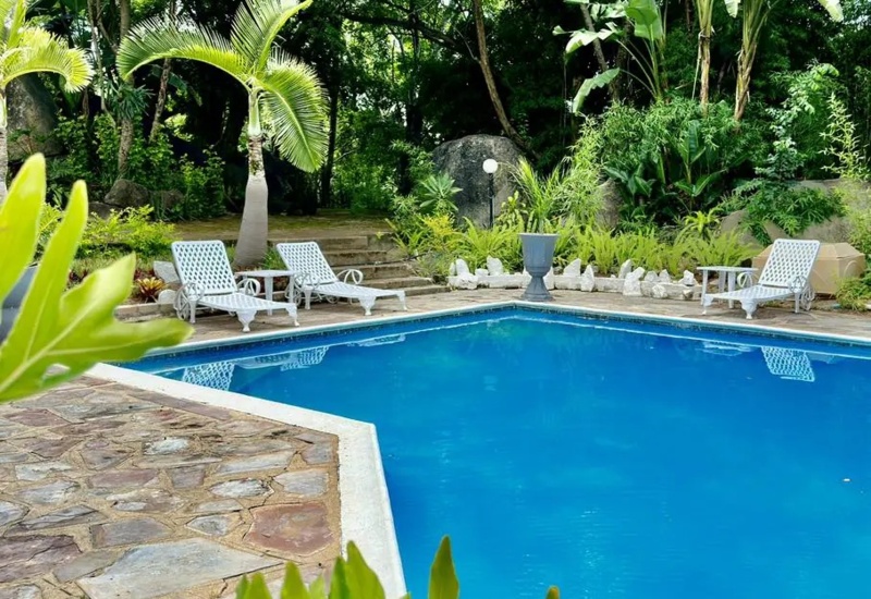 Outdoor swimming pool surrounded by tropical greenery and palm trees with white lounge chairs on stone patio