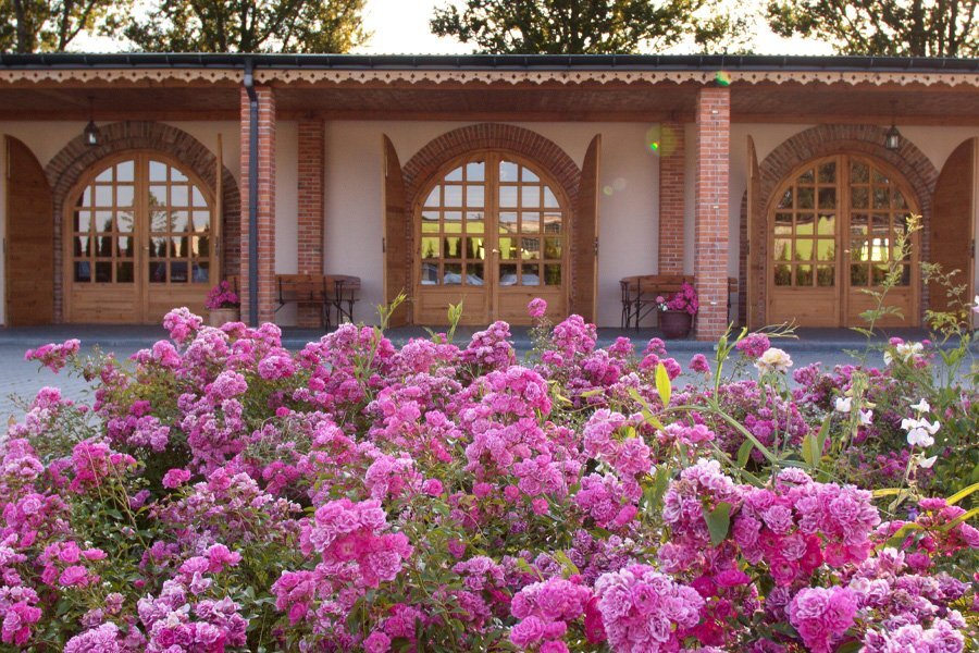 Ogród Sala pod Arkadami