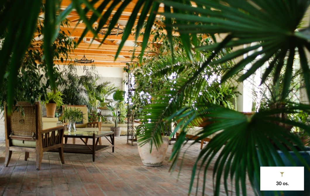 oranżeria sesje zdjęciowe rośliny egzotyczne kwiaty warsztaty