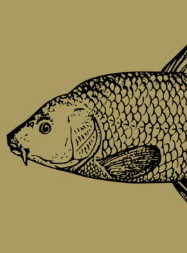 Kolacja rybna w Kuźni Pałacowej