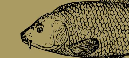 Kolacja rybna w Kuźni Pałacowej