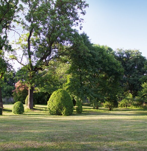 Park - pałac w Korczewie