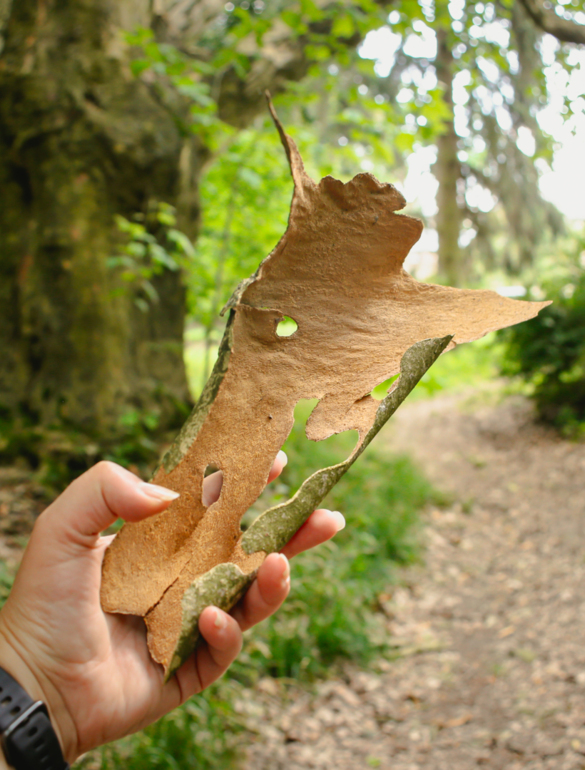 park pałacowy zabytkowy pałac korczew imprezy eventy plenerowe biznes