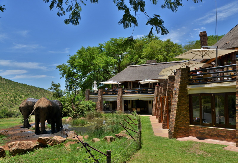 茅草屋顶的狩猎旅馆，带遮阳露台有客人在用餐，俯瞰一处水塘，两头大象在饮水，四周绿树与山丘