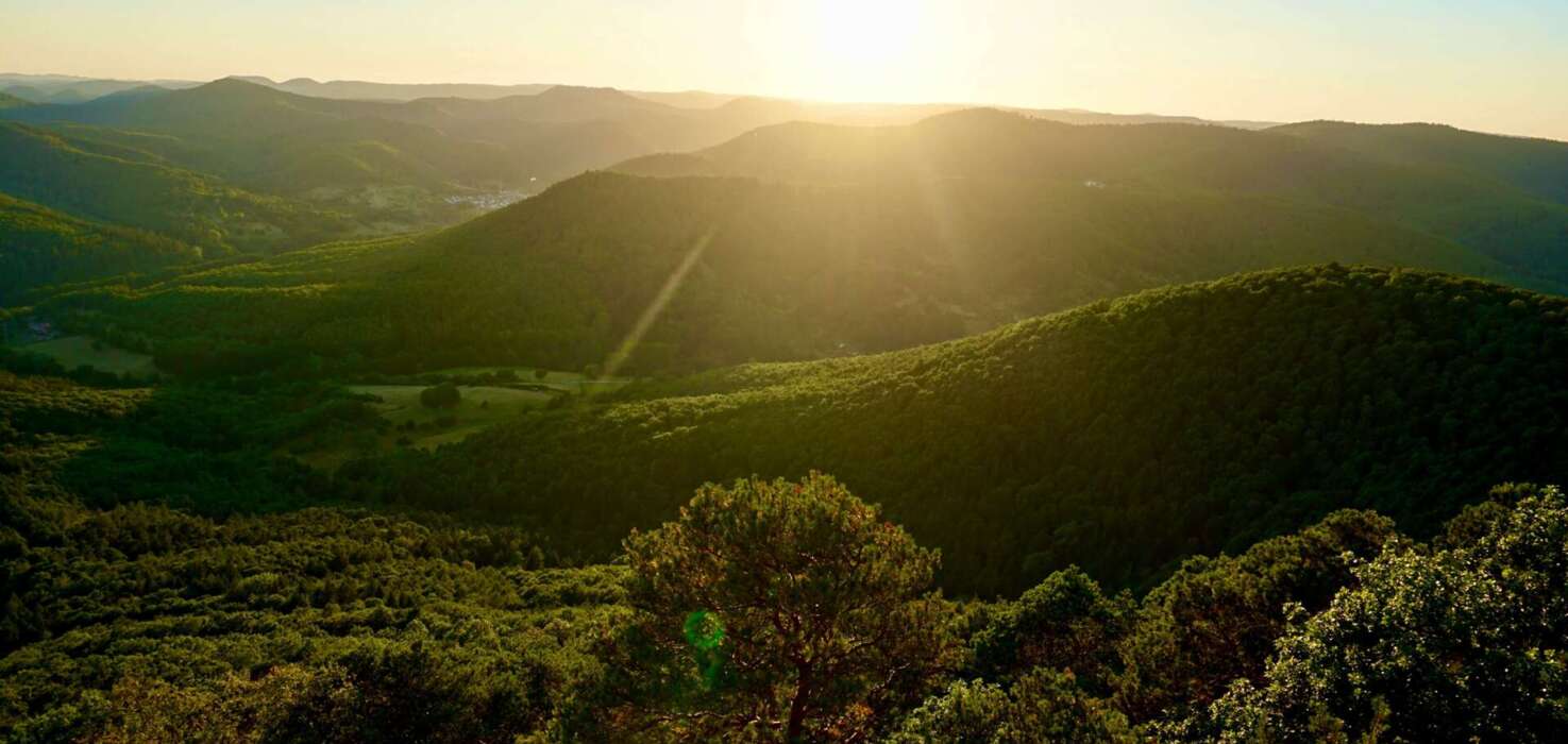 Sonnenuntergang über den grünen Hügeln in Annweiler am Trifels