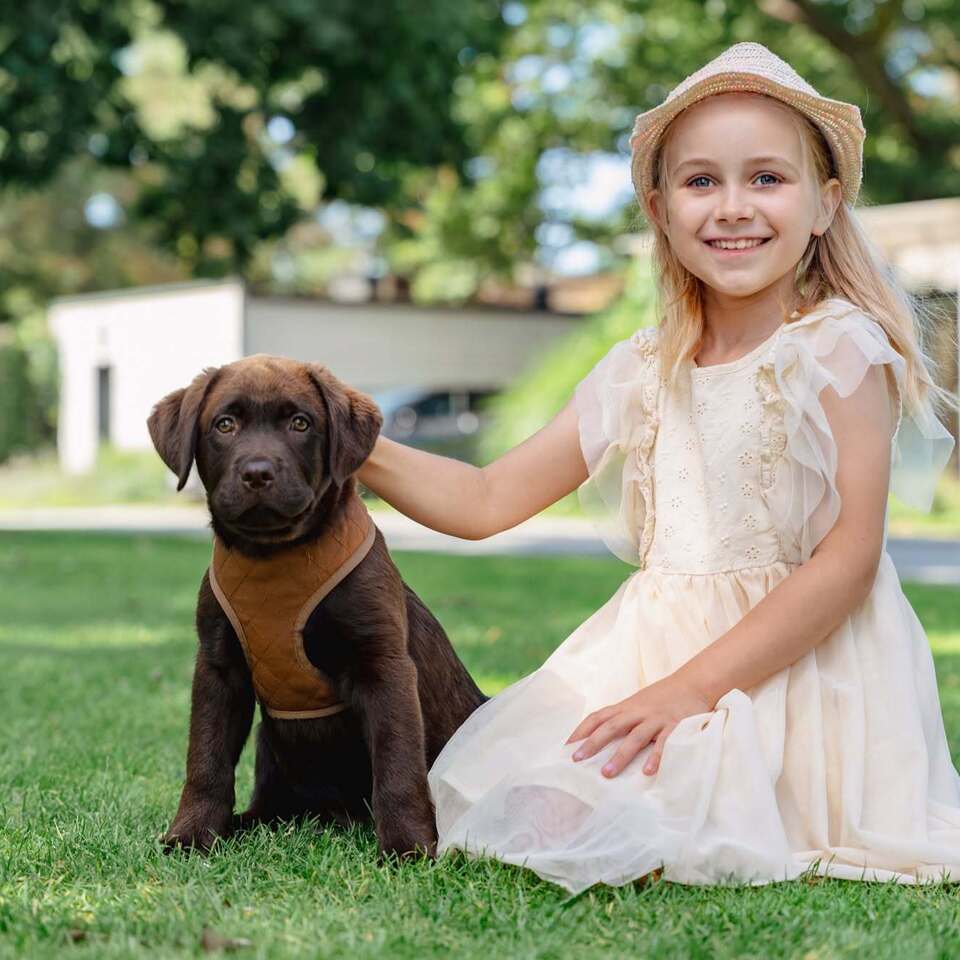 Uśmiechnięta dziewczynka w letniej sukience i kapeluszu na zielonym trawniku obok czekoladowego labradora w brązowej uprzęży.