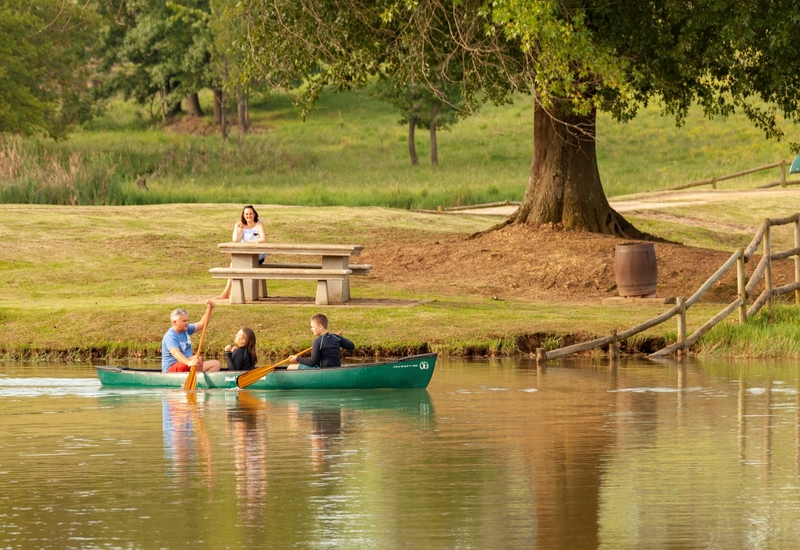 Family paddling a green canoe on a calm resort lake beside a grassy shore with picnic bench, shady oak tree and rustic fence.