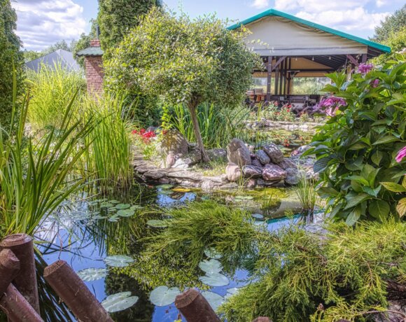 Mały staw pełen liści lilii wodnych. Dookoła widoczne drzewa i skały, a w tle drewniana altana.