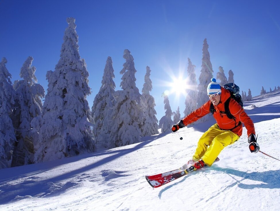 Skier carving powder on sunlit mountain slope beside snow-covered trees — vibrant resort skiing scene