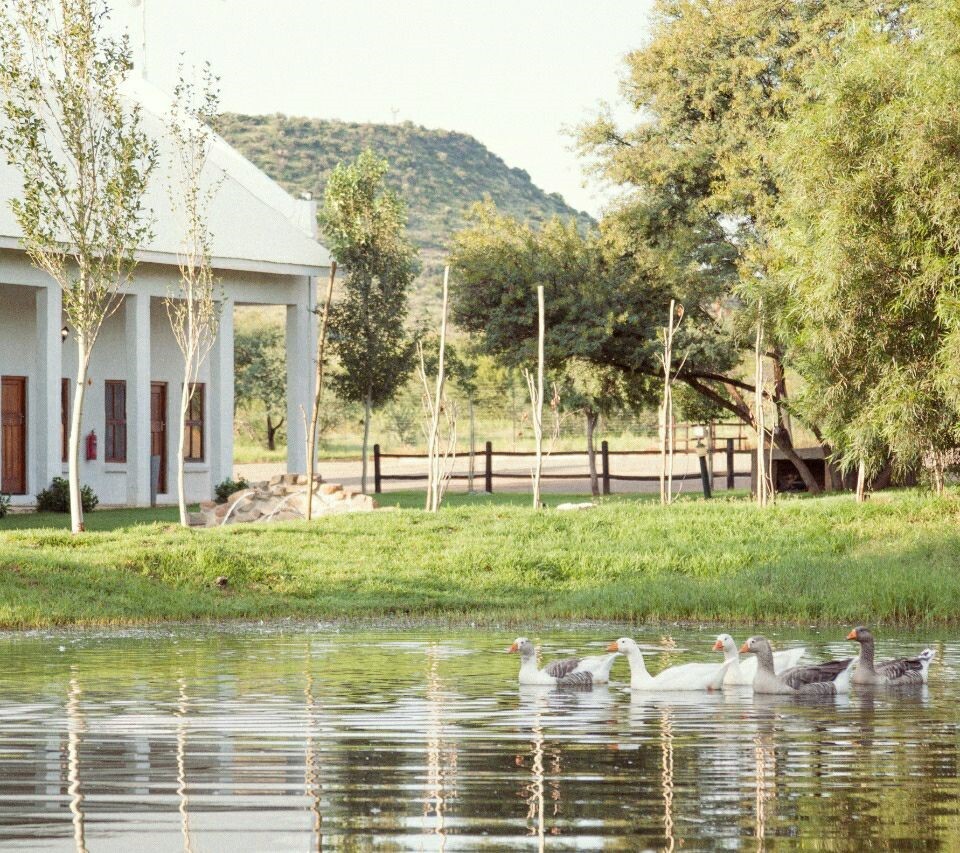 White columned lodge with wooden doors beside a pond where geese swim, grassy lawn and tree-lined country views.