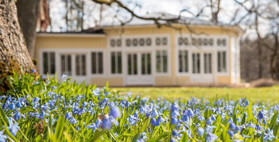 Aurinkoinen puutarha sinisin kukin pöheikön edessä, taustalla viehättävä keltainen puuvilla, isot valkokehyksiset ikkunat