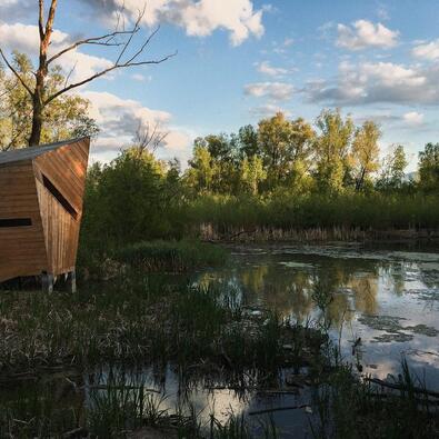 Elevated wooden bird hide beside a calm marsh, modern angular design, tranquil waters and tree-lined sunset view