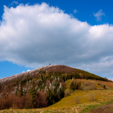 Winding dirt trail leading up a grassy hill to a tree-covered summit topped by a small lookout tower under a large cloud