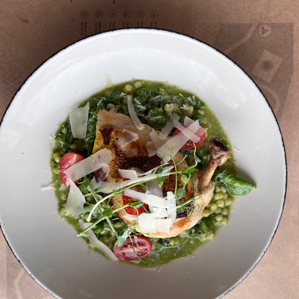 Gebratenes Hähnchenschenkel auf Erbsenrisotto mit Parmesanspänen, Cocktailtomaten und Microgreens in weißer Schale, Restaurant-Unterlage sichtbar