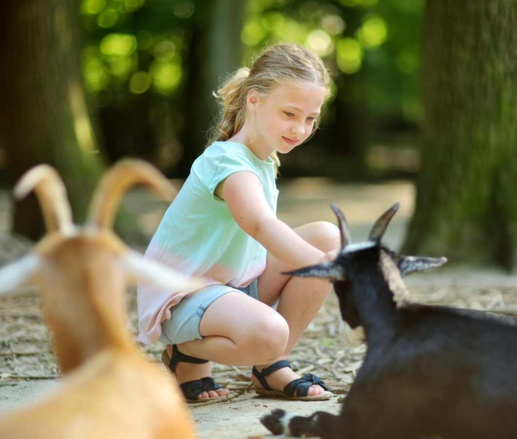 Dziewczynka wśród zwierząt w Tatrzańskim Parku Edukacyjnym