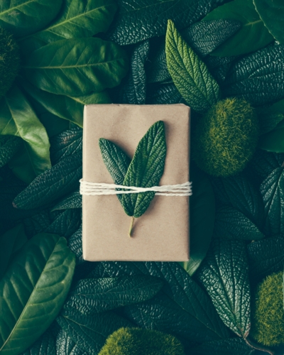 A gift in decorative packaging against a backdrop of greenery, ideal as a present