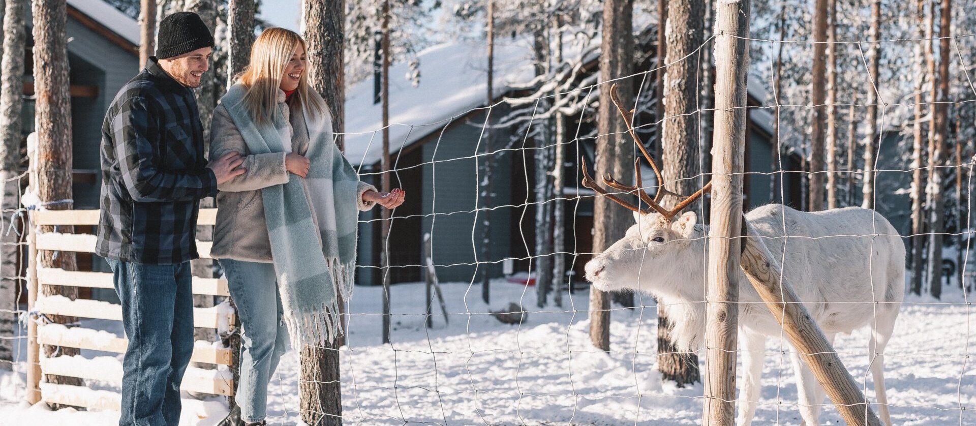 Couple watching a reindeer outside at Nova Skyland Hotel