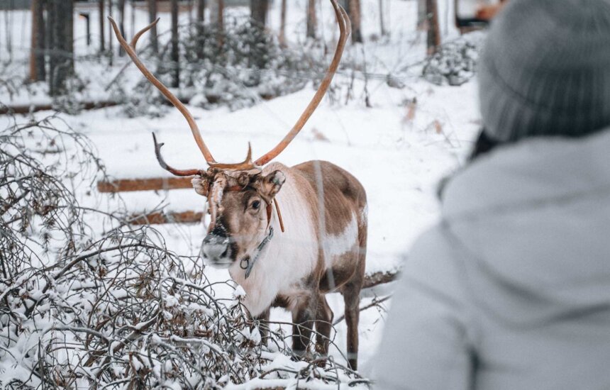 Poro Nova Skyland Hotellin pihassa