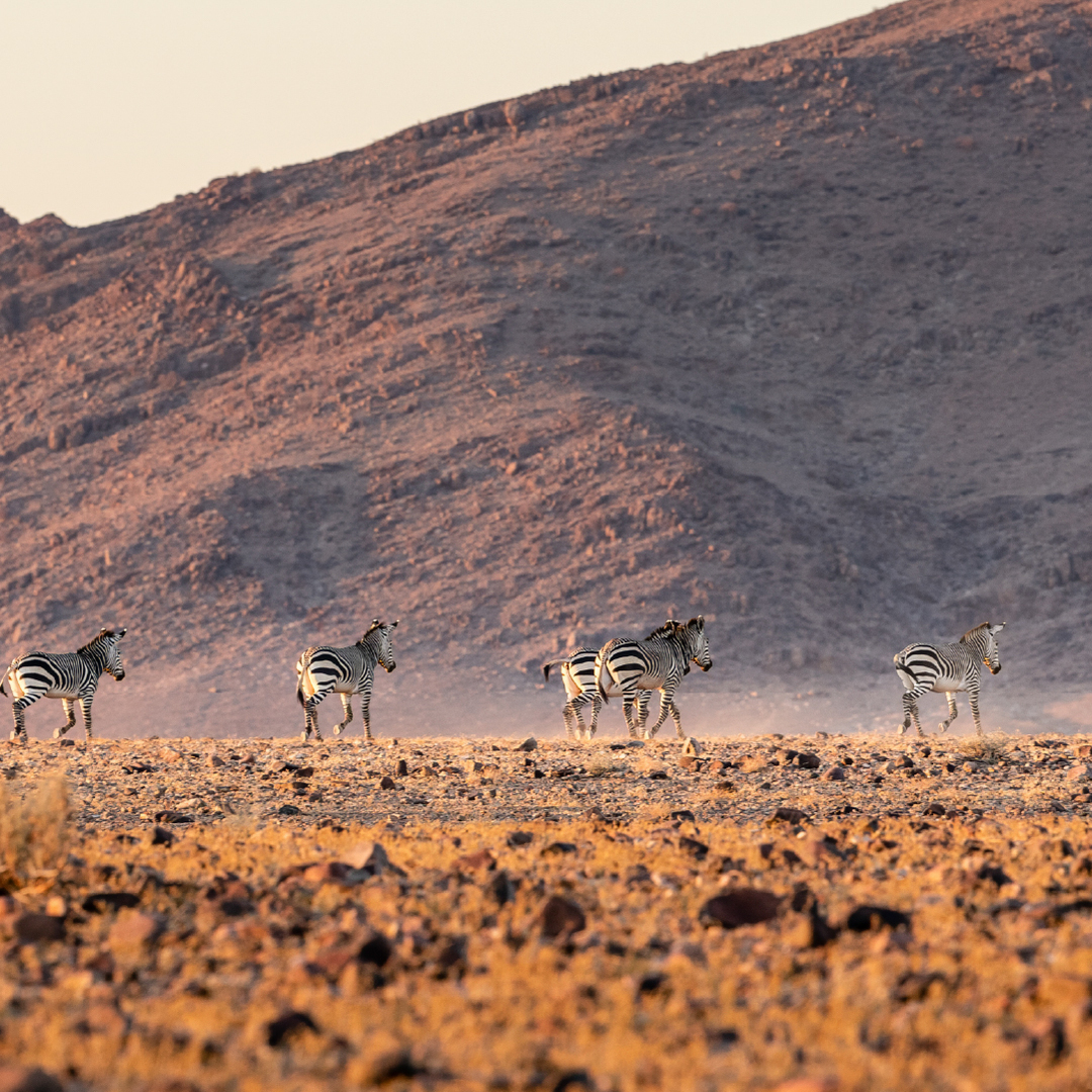 Photo of Namibia