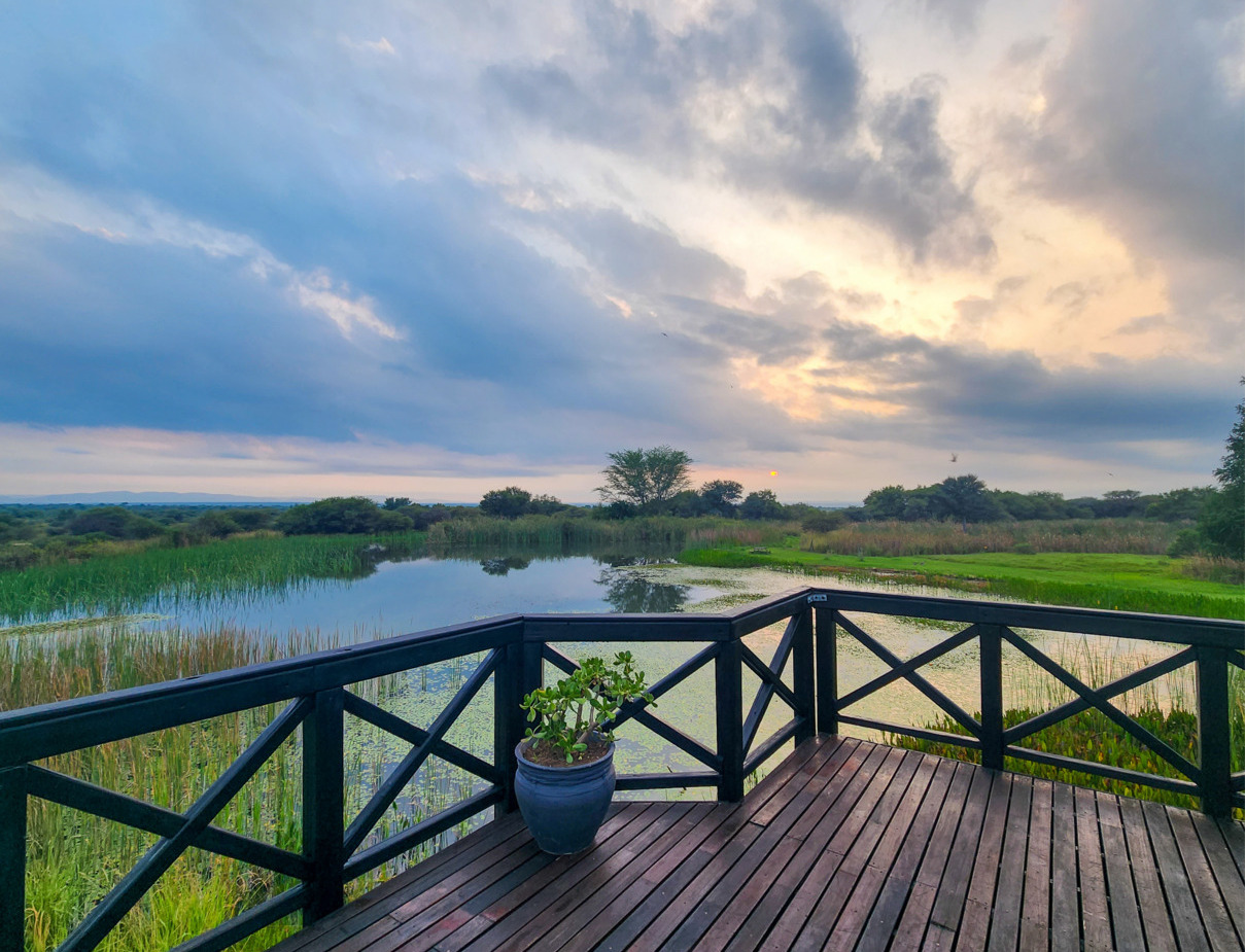 Private wooden deck with potted plant and railing overlooking tranquil reed-lined pond and sunset-lit wetlands.