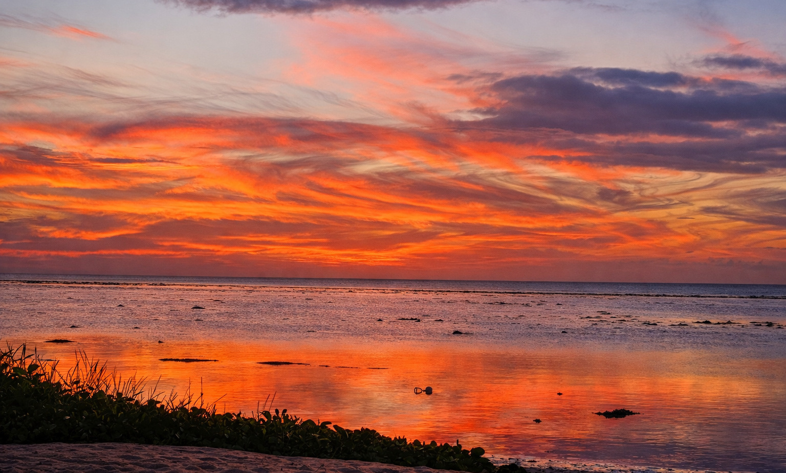 Vibrant orange-pink sunset over calm shallow ocean, clouds mirrored on water, sandy shore with low coastal plants in foreground.