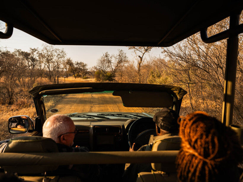 Open-top safari vehicle on dusty track at golden hour, guide driving and guests enjoying a warm savanna game drive.