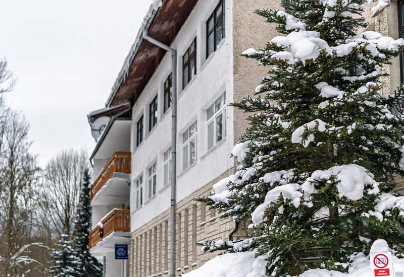 Górski hotel z drewnianymi balkonami, ośnieżony dach i duży świerk przy wejściu, zimowy, przytulny klimat