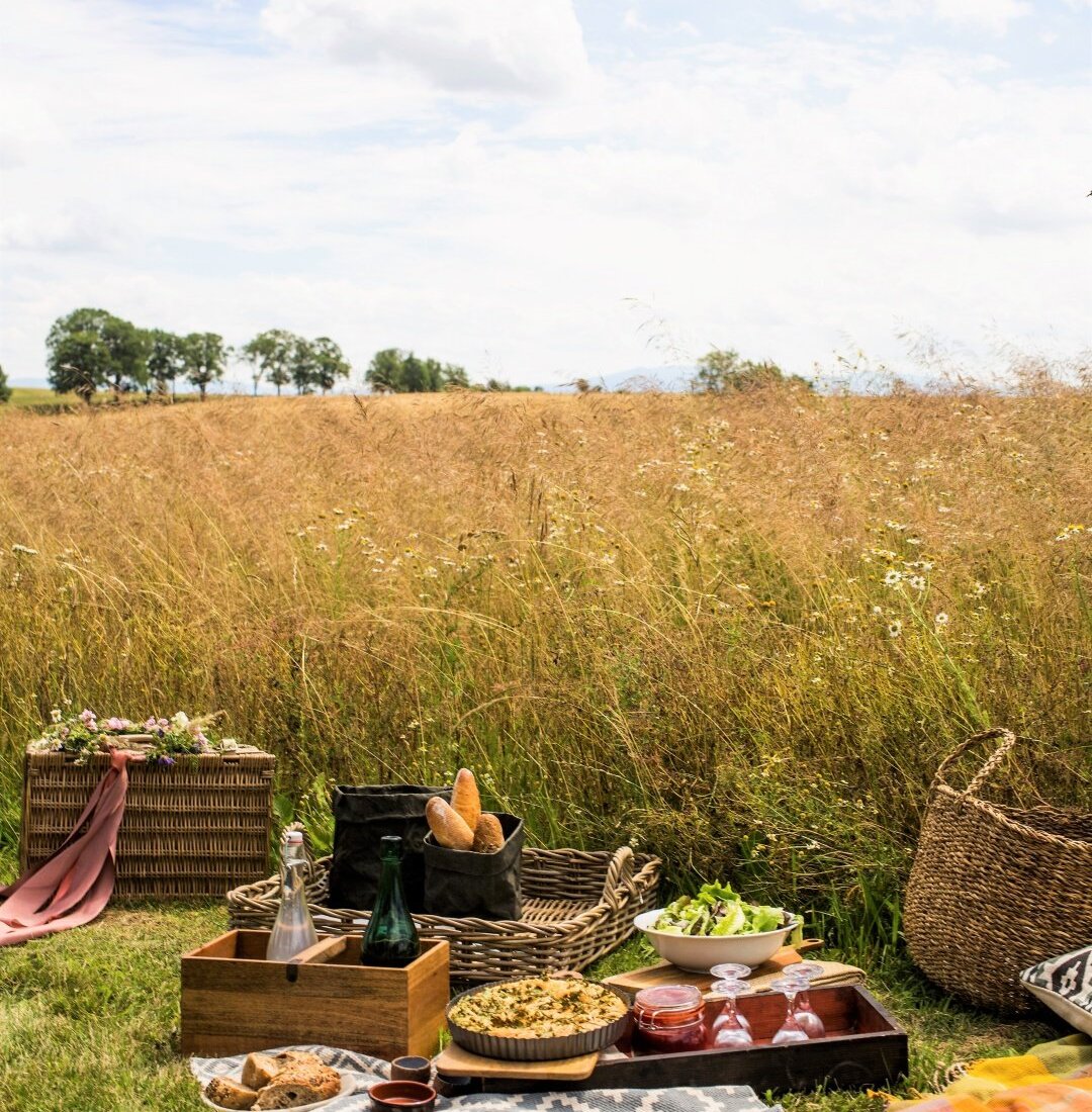 Piknik w ogrodzie Pałacu Kamieniec. Kotlina Kłodzka widok. Łąka i kwiaty. Kosz piknikowy