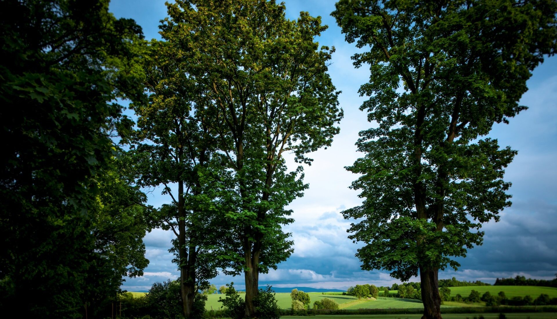 Ogród historyczny w Pałacu Kamieniec. Widok na Kotlinę Kłodzką. Piękny ogród.