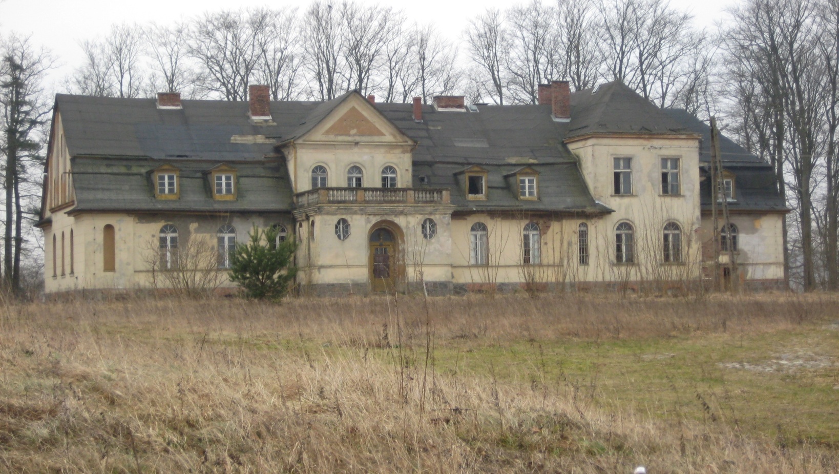 Opuszczony dwór z XIX w. z odpadającym tynkiem, centralnym balkonem i lukarnami, zarośniętą łąką i gołymi drzewami.
