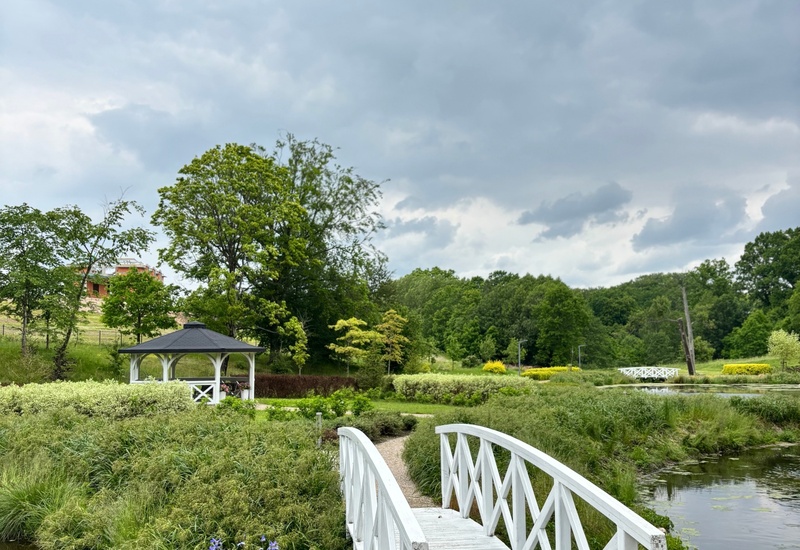 Biały drewniany mostek nad stawem prowadzący do altany w bujnym ogrodzie z fioletowymi irysami i zadbanymi trawnikami pod chmurnym niebem