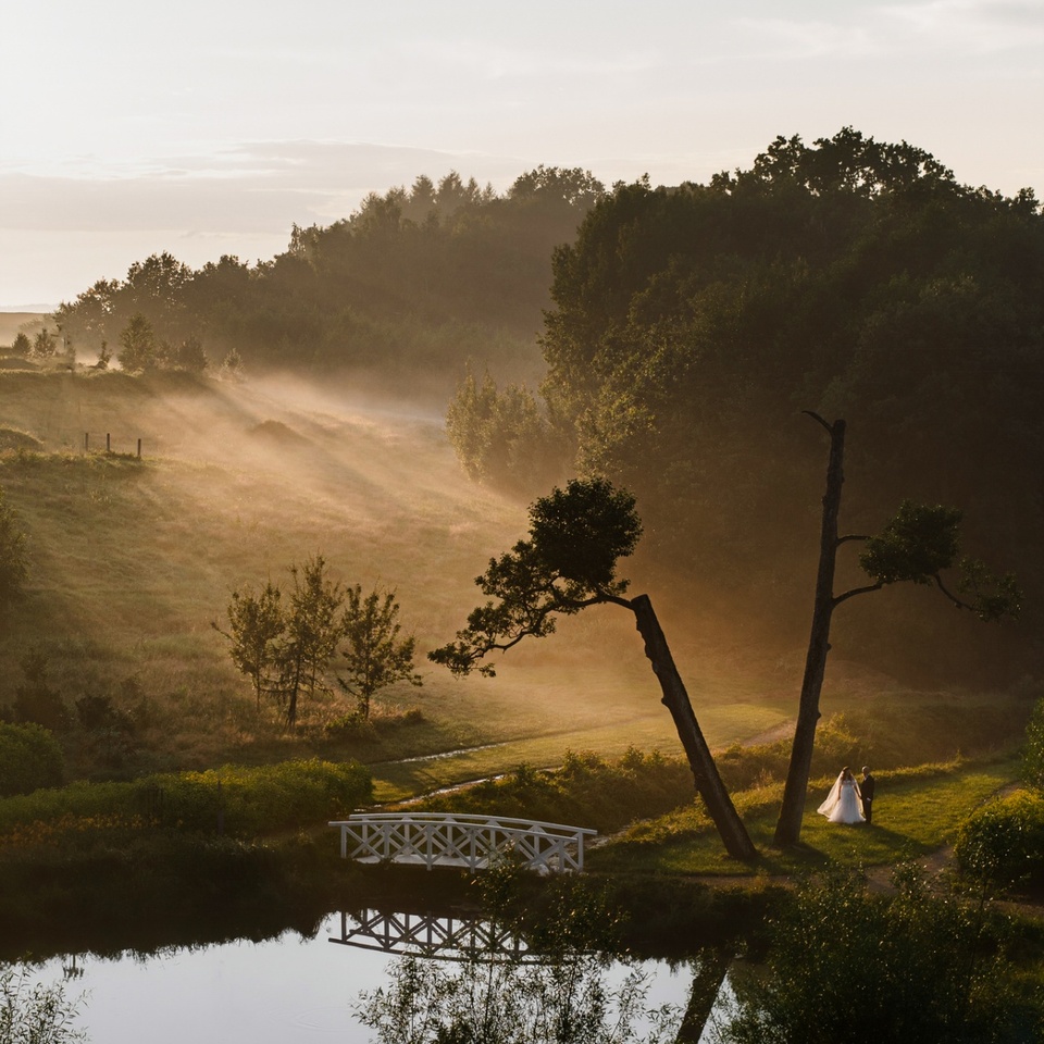 Ślub nad stawem o świcie z białym mostkiem, wysokimi drzewami i parą młodą idącą we mgle