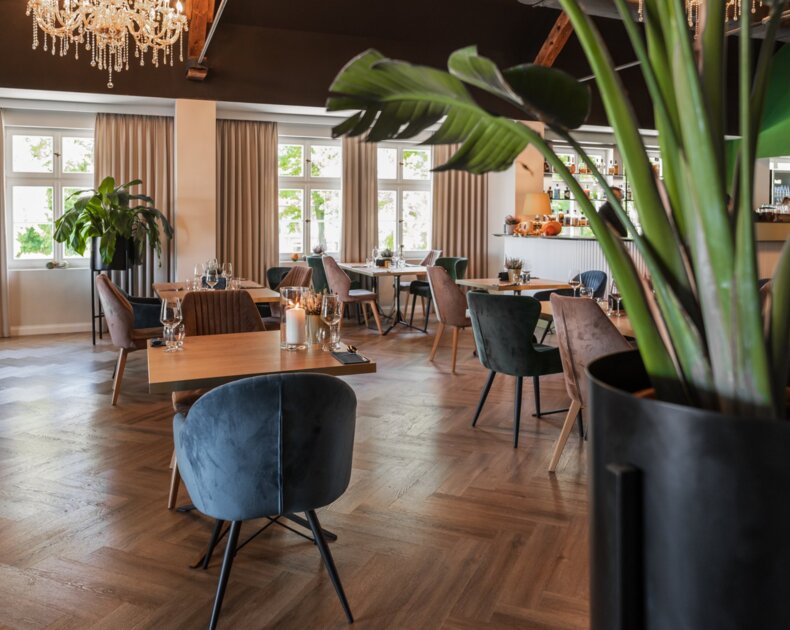 restauracja toruń menu