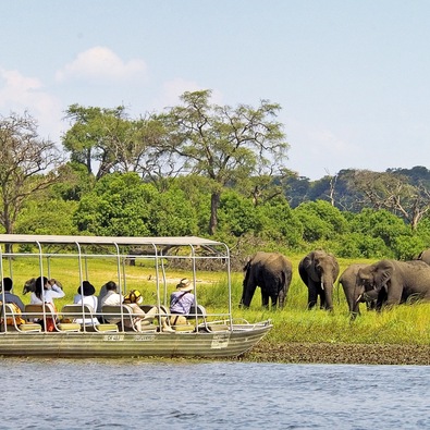 Gäste auf einem überdachten Safariboot beobachten eine Herde Elefanten, die am Flussufer im grünen Busch grasen