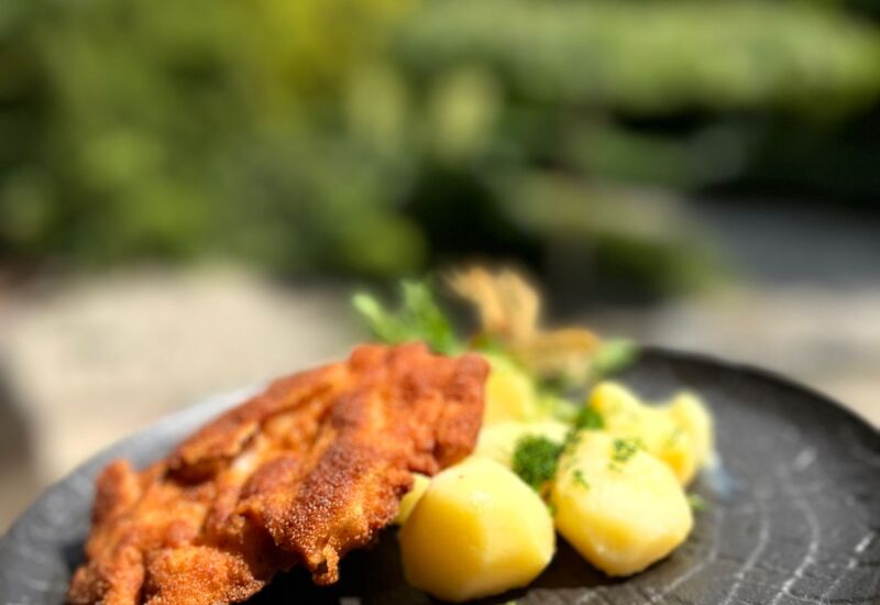 Zbilansowane danie główne podane w restauracji Papuga Park