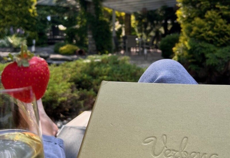 Goście hotelowi wybierający dania z menu na tarasie z widokiem na altankę