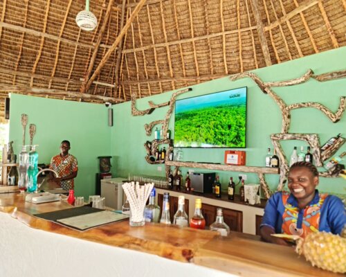 Tropical bar with thatched roof, wooden counter, rustic decor, stocked spirits, friendly staff, and a TV showing a safari scene