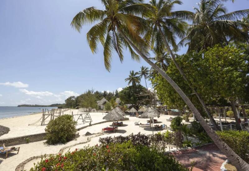 Sandy beach with palm trees, sun loungers under thatched umbrellas, and tranquil ocean view at a tropical resort