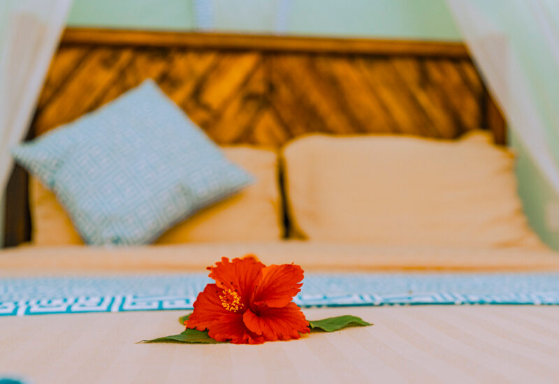 Softly lit hotel bed with decorative blue throw and pillows, featuring a fresh red hibiscus flower on beige linens