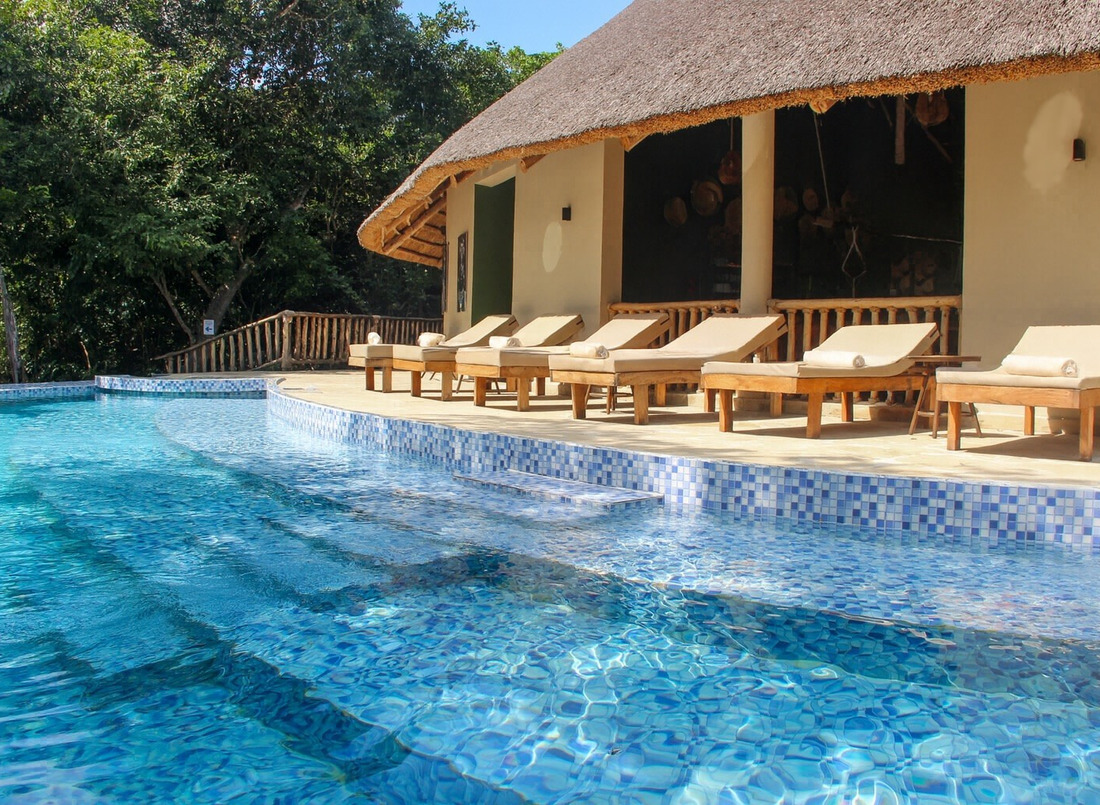 Resort pool with blue mosaic tiles, wooden deck and cushioned sunbeds beneath a thatched terrace by trees.