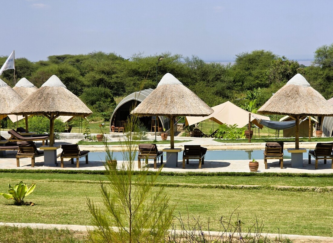 Poolside with thatched umbrellas and wooden loungers, glamping tents beyond, lush lawn and bushland view