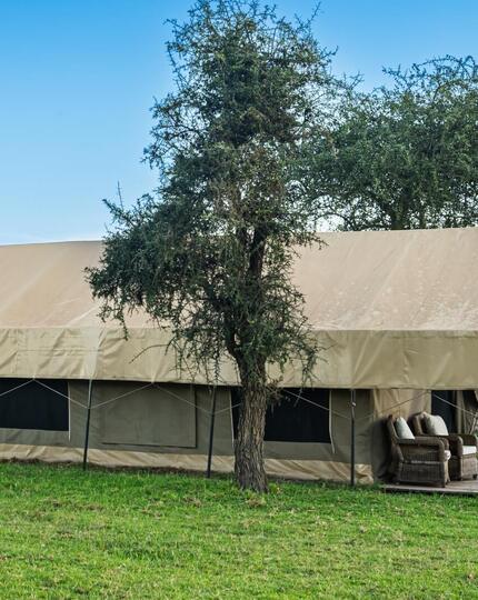 Luxury safari tents with shaded verandas and wicker chairs set on green grass, with zebras grazing nearby under clear blue sky