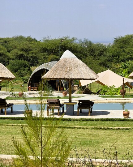 Poolside with thatched umbrellas and wooden loungers, glamping tents beyond, lush lawn and bushland view