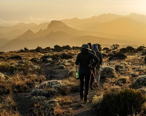 Two hikers on a guided sunrise mountain trek, walking along a rocky alpine trail with trekking poles toward layered golden peaks and shrubs.