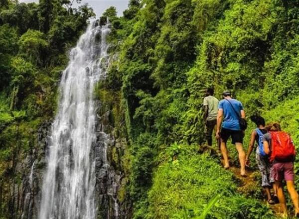 Group hiking along a lush green trail beside a tall, cascading waterfall in a tropical forest setting