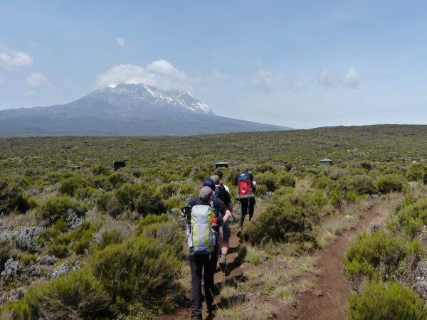 Group of hikers trekking along a dirt trail through green shrubland with Mount Kilimanjaro in the background under a clear blue sky