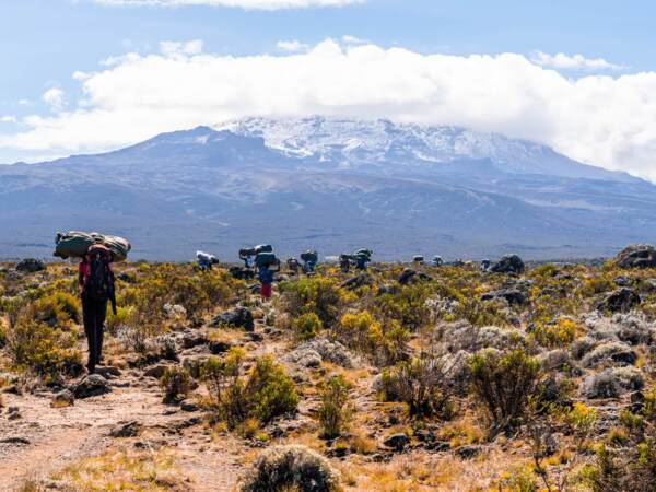 Hikers carrying heavy backpacks trekking through rugged mountain terrain with snow-capped peak and scattered shrubs