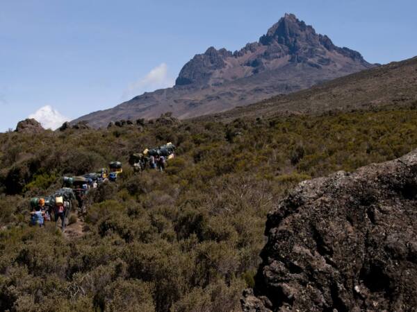 Group of hikers carrying gear on a mountain trail surrounded by shrubs, with a rugged peak in the background under clear blue sky